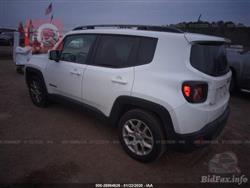 جيب رينيجيد